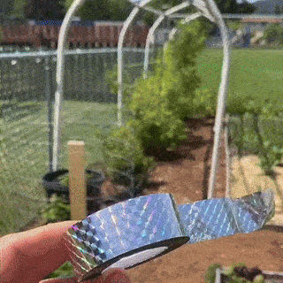 ezgif-5750317c2ee3ee.gif__PID:85ef8ef0-2eaa-48c3-a3b1-25c43957c597